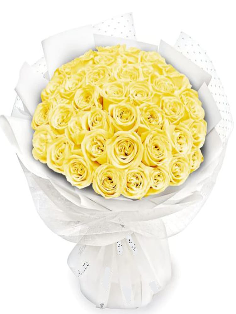 yellow 750